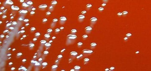 Two men fell gravely ill last year; their infections link to deaths in the ’80s