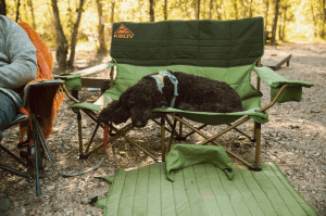 A dog sitting in the Kelty Low Loveseat