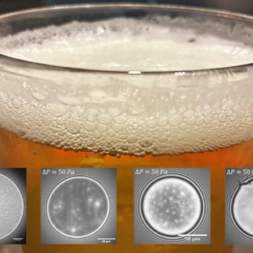Scientists unlock secret to thick, stable beer foams