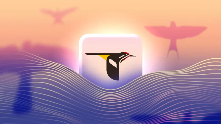 i prefer the merlin bird id app