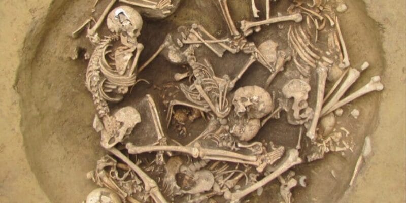 Neolithic people took gruesome trophies from invading tribes | Hashe Computer Solutions (Pvt) Ltd.