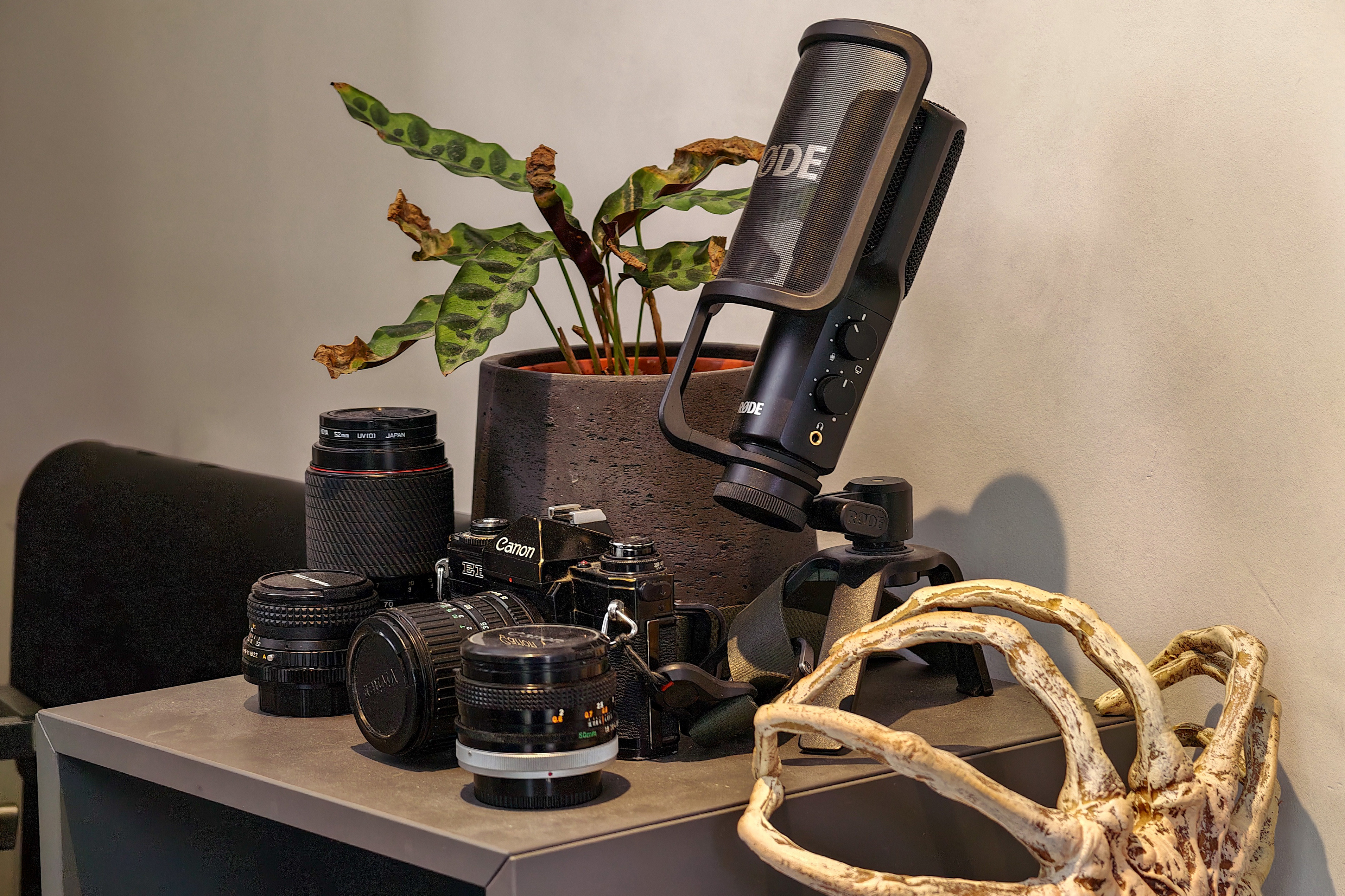 A camera with several lenses, a microphone, and a plant on a small table.