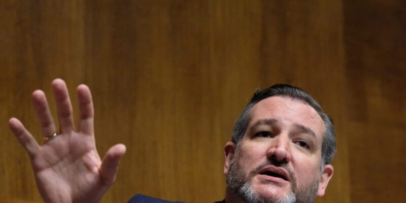 Ted Cruz’s new bill would let AI companies set their own rules for up to 10 years 15 ted cruz s new bill would let