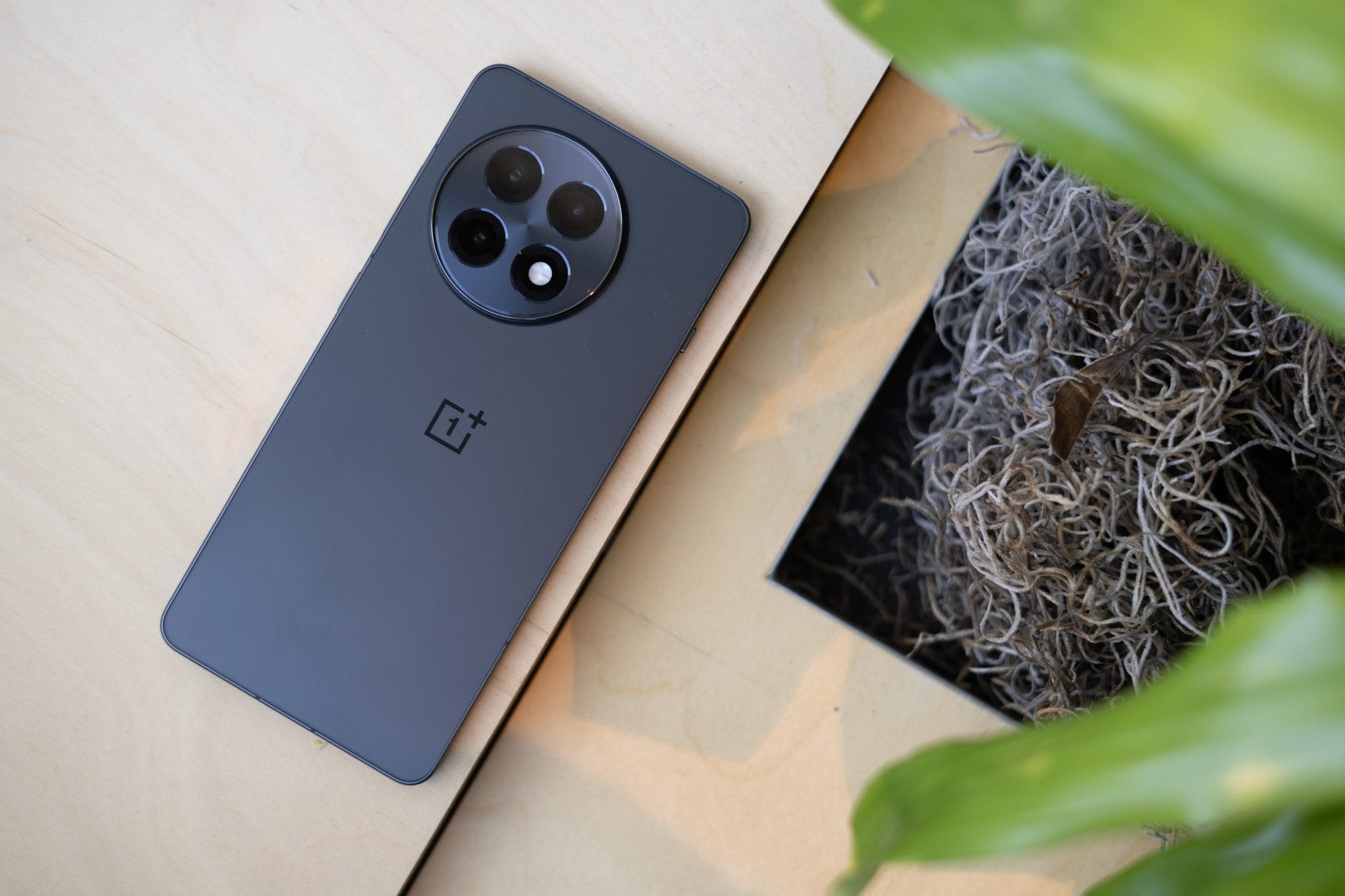 your oneplus phone is probably at risk