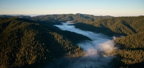 apple announces new investment as part of