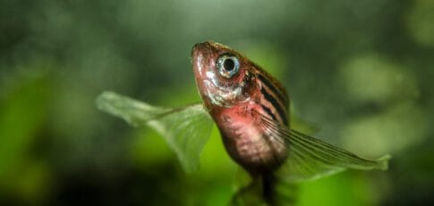 you can hold on to your butts