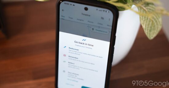 google maps maimed timelines for privacy but