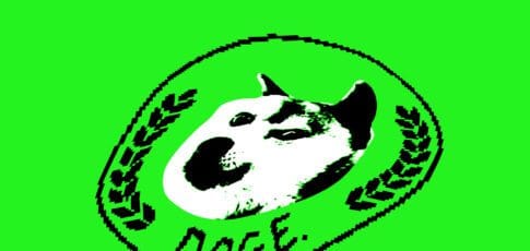 doge might be storing every american s