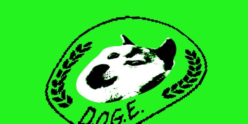 DOGE might be storing every American’s SSN on an insecure cloud server 18 doge might be storing every american s