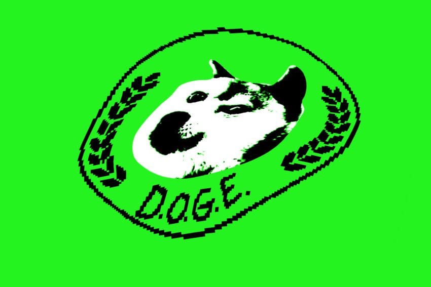 doge might be storing every american s