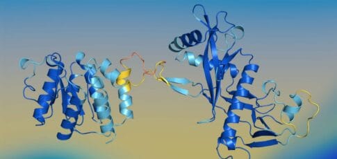 apple researchers develop simplefold a lightweight ai