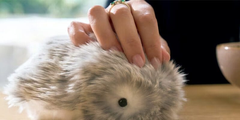 Casio’s stress-relieving furry robot is coming to the US 17 casio s stress-relieving furry robot is coming