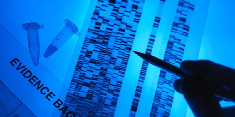 The DHS has been quietly harvesting DNA from Americans for years 2 the dhs has been quietly harvesting dna