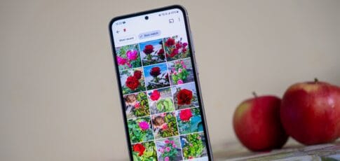 google photos wants to simplify searching for