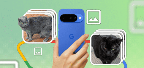 google pixel 10 camera review capturing feline