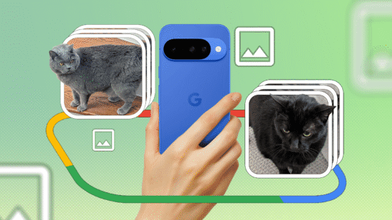 google pixel 10 camera review capturing feline
