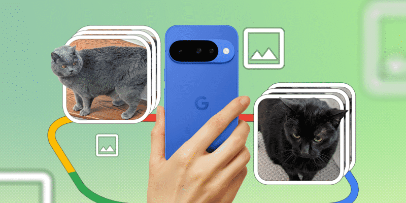 google pixel 10 camera review capturing feline