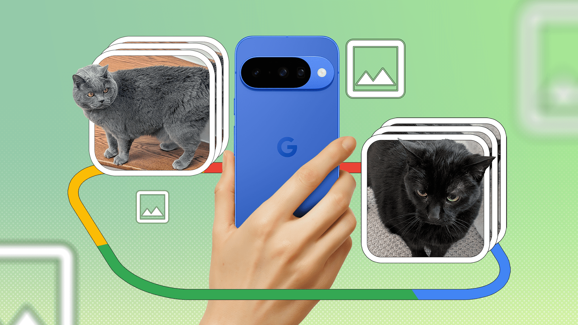 google pixel 10 camera review capturing feline