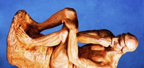 meet the 2025 ig nobel prize winners