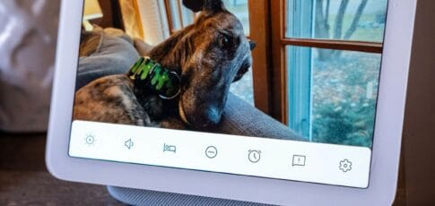 some nest aware users get 50 renewal