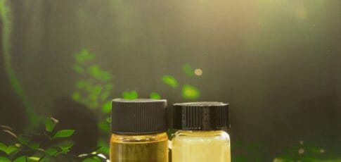 terra oleo s oil-producing microbes could replace