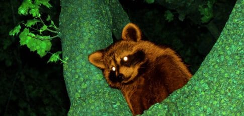 modder injects ai dialogue into 2002 s