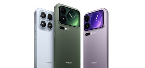 the 5 things you need to know