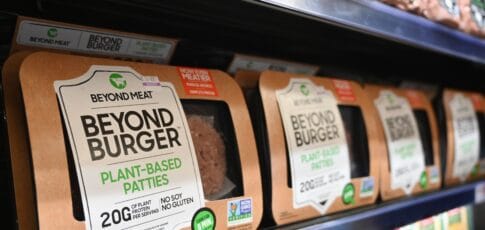 lab-grown meat does not a burger make