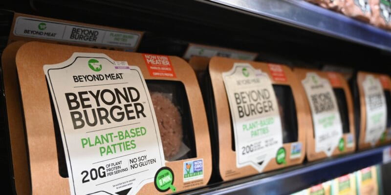 Lab-grown meat does not a burger make, EU lawmakers insist 17 lab-grown meat does not a burger make