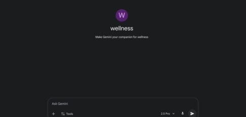 google gemini adds premade wellness gem more