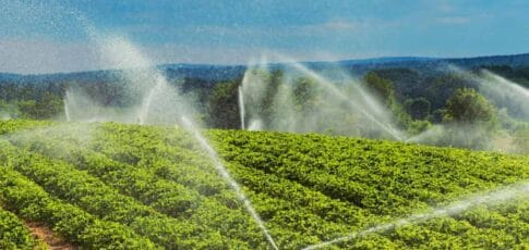 instacrops will demo its water-saving crop-boosting ai