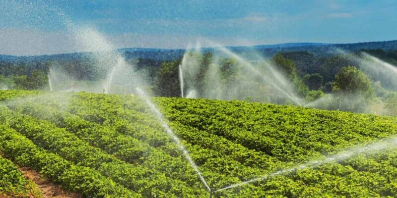 Instacrops will demo its water-saving, crop-boosting AI at TechCrunch Disrupt 2025 18 instacrops will demo its water-saving crop-boosting ai