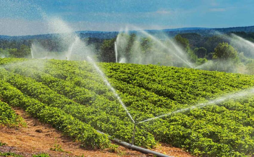 instacrops will demo its water-saving crop-boosting ai