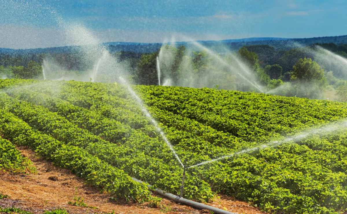 instacrops will demo its water-saving crop-boosting ai