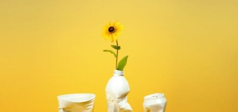 macrocycle found a shortcut for plastic recycling