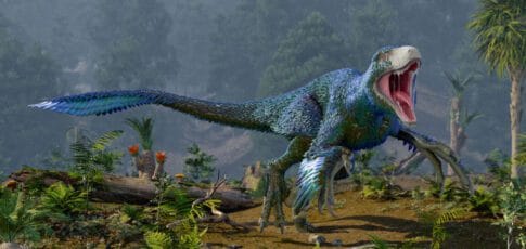 dinosaurs may have flourished right up to