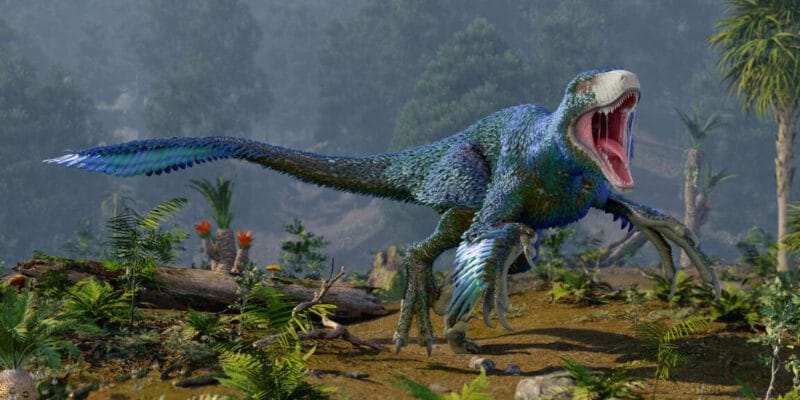 Dinosaurs may have flourished right up to when the asteroid hit 9 dinosaurs may have flourished right up to