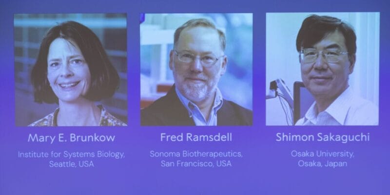 Discovery of cells that keep immune responses in check wins medicine Nobel Prize 19 discovery of cells that keep immune responses