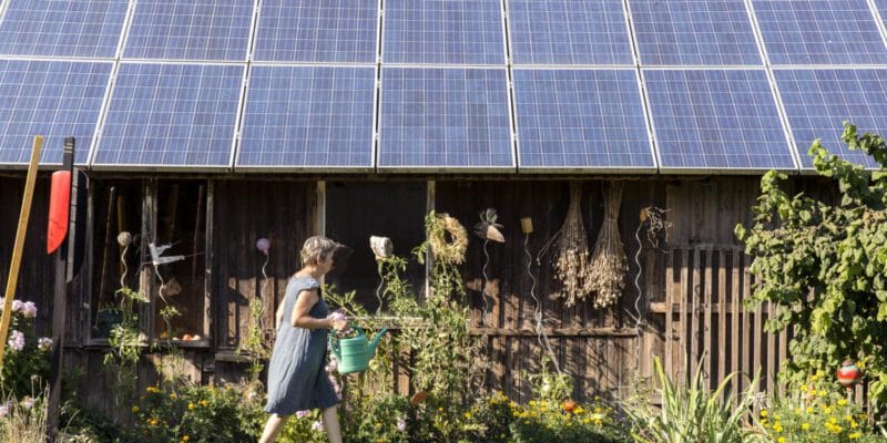Trump’s EPA sued for axing $7 billion solar energy program 3 trump s epa sued for axing 7