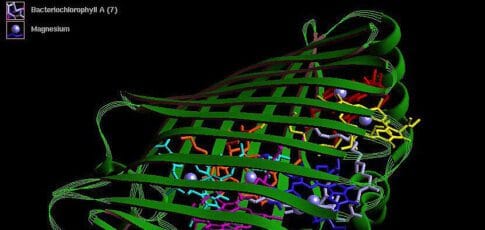 do ai-designed proteins create a biosecurity vulnerability