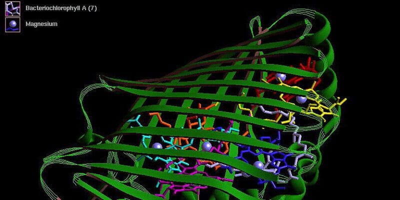 Do AI-designed proteins create a biosecurity vulnerability? 3 do ai-designed proteins create a biosecurity vulnerability