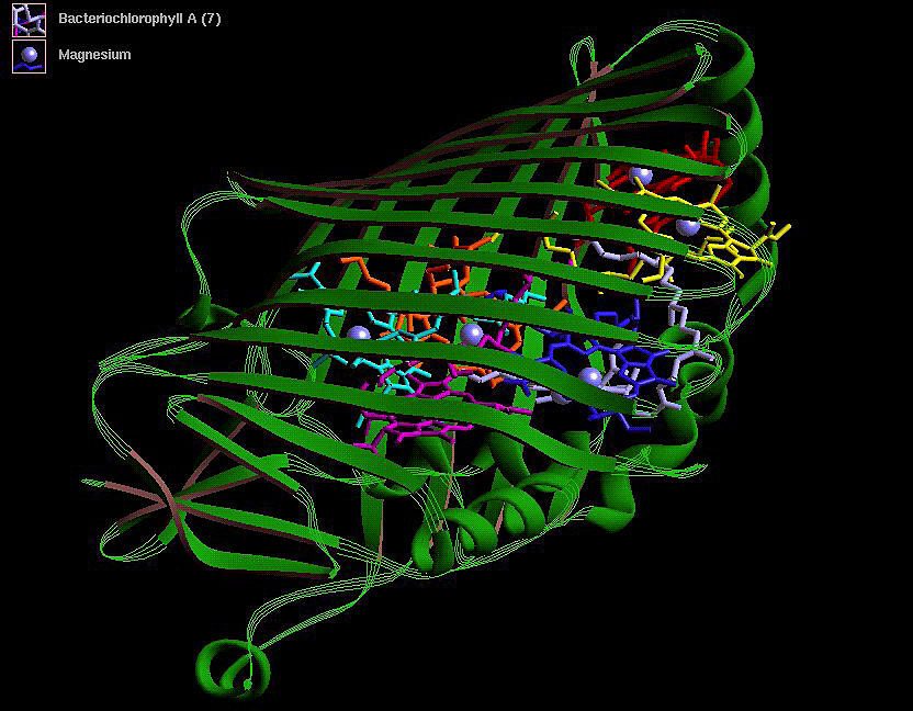 do ai-designed proteins create a biosecurity vulnerability