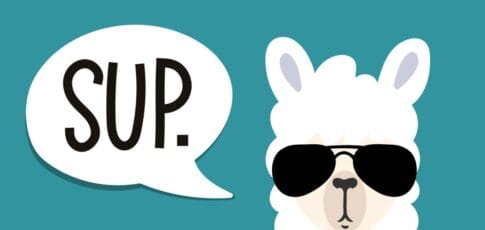 meta llama everything you need to know