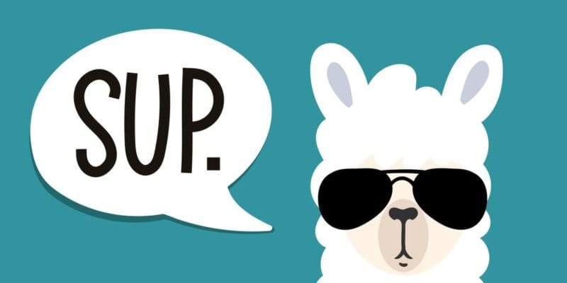 Meta Llama: Everything you need to know about the open generative AI model 20 meta llama everything you need to know
