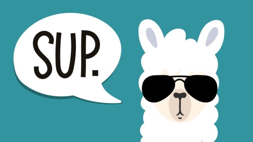 meta llama everything you need to know