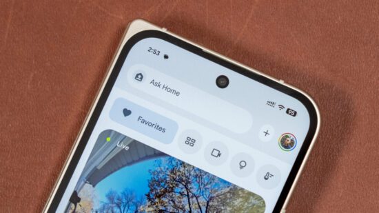 unexpectedly a deer briefly entered the family