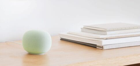 the google home speaker is coming in