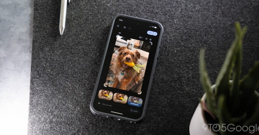 google confirms ask photos isn t available