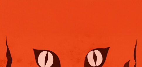 you need to watch the bonkers japanese