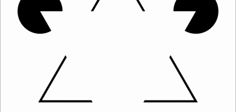 the neurons that let us see what